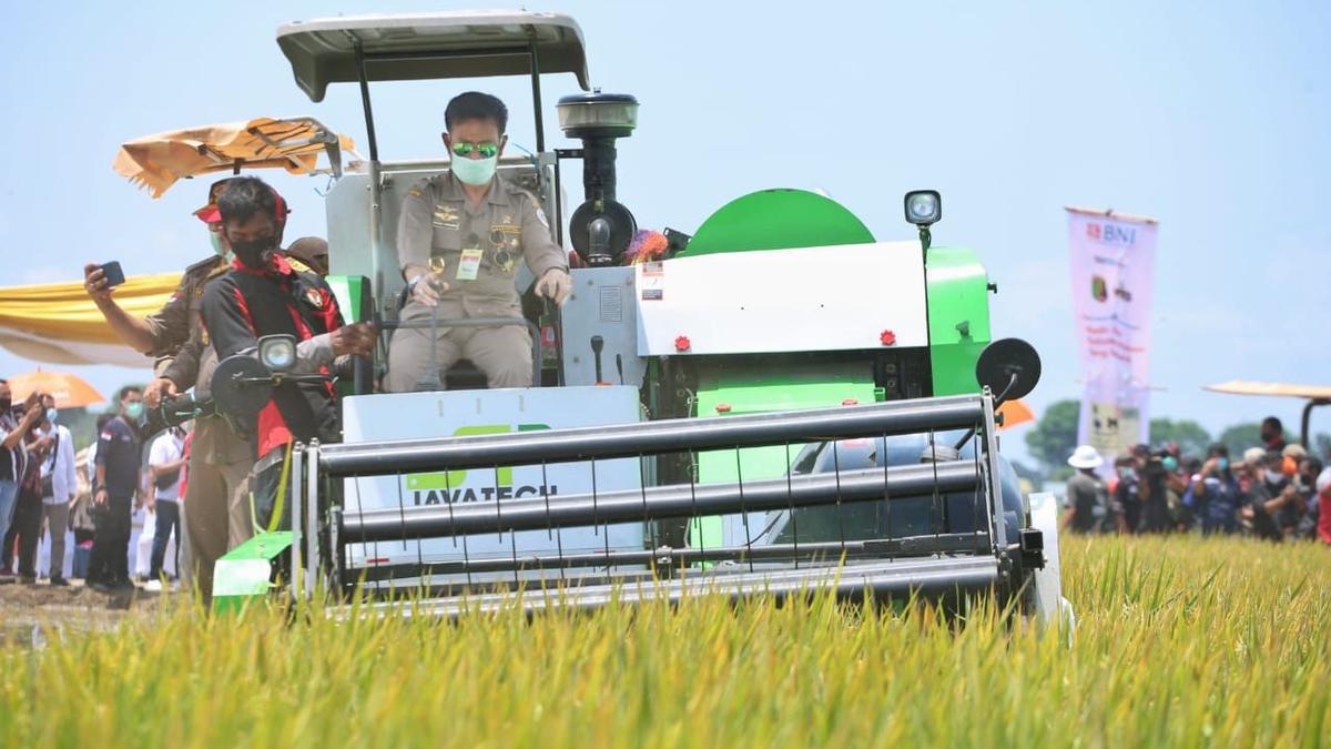 Mentan Peringatkan Distributor Jangan Main Main Dengan Distribusi Pupuk