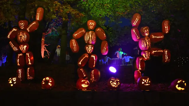 Ukiran Labu Halloween di Pameran Great Jack O'Lantern Blaze