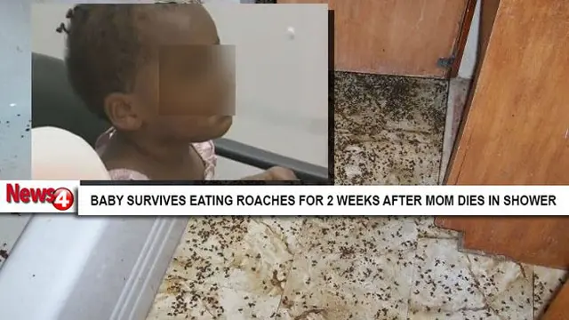 Ibu Tewas, Bocah 1 Tahun Bertahan Hidup dengan Makan Kecoa