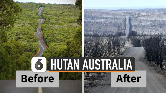 Kebakaran hutan Australia menghanguskan 11,2 juta hektar.