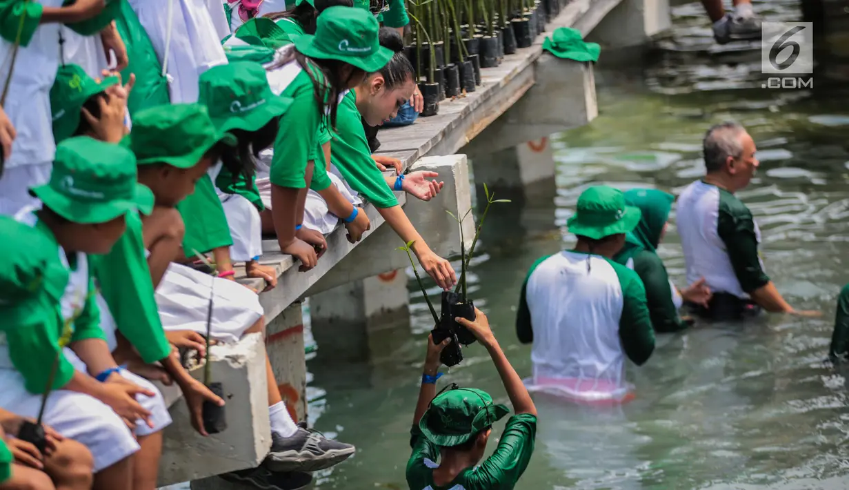 Anak-anak sekolah dasar menyaksikan penanaman mangrove di Area Labirin Pulau Pramuka, Kepulauan Seribu, Jakarta, Rabu (28/11). Kegiatan ini memperingati Hari menanam Pohon Indonesia (HMPI) yang jatuh  28 November. (Liputan6.com/Faizal Fanani)