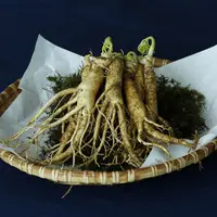 Ilustrasi ginseng/Copyright pixabay/whaltns17