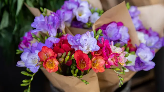 Sederhana namun Berkesan, Buktikan Rasa Sayang Kamu Kepada Sang Pacar dengan Beri 3 Hadiah Ini