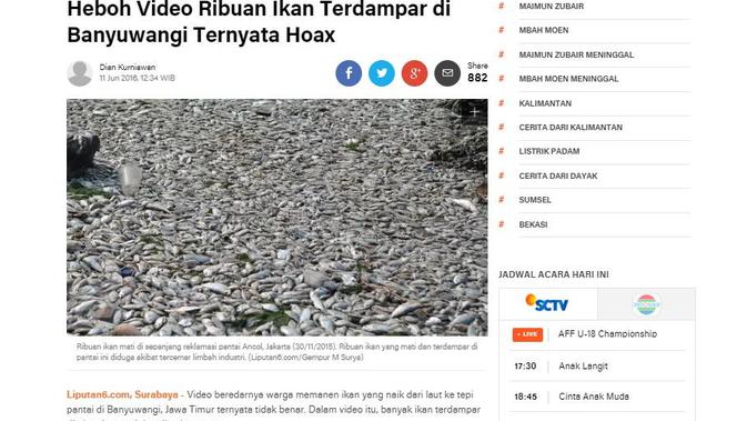 [Cek Fakta] Banjir Ikan Terdampar di Banyuwangi, Fakta atau Hoaks?