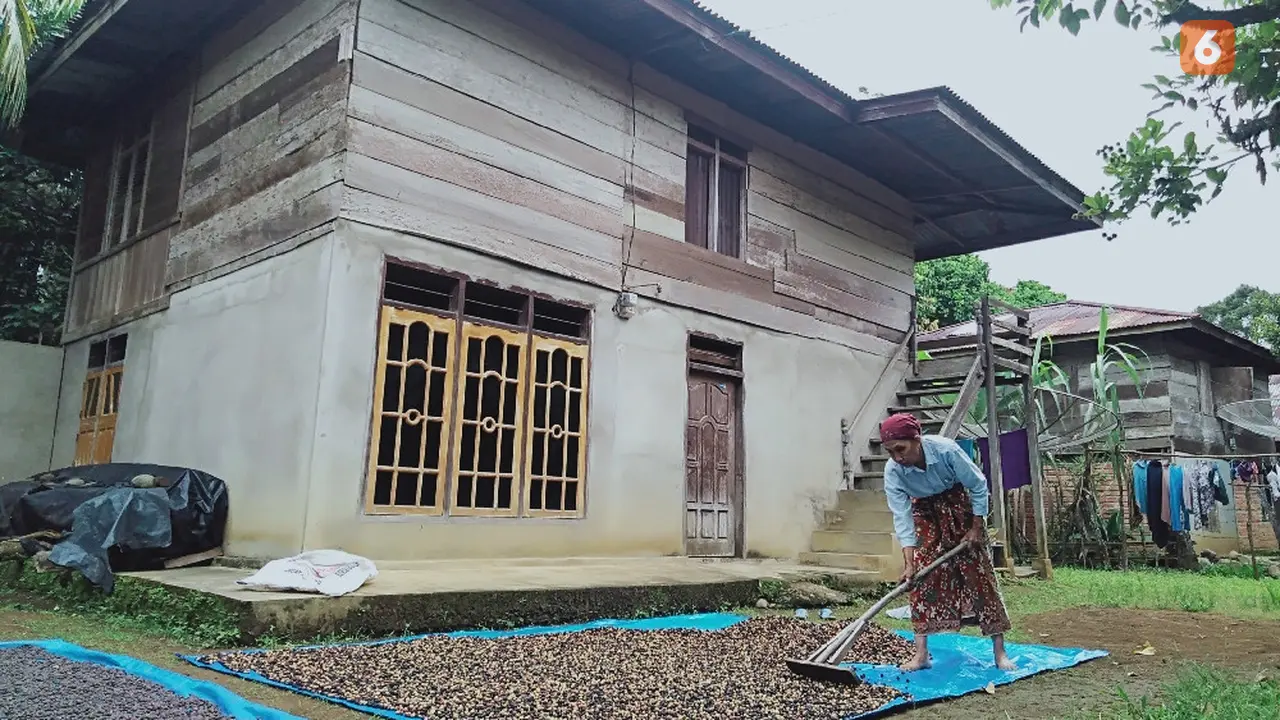 Menjemur Kopi