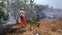 Kebakaran lahan dan hutan jati di Situbondo (Istimewa)