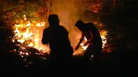 Petugas berjibaku memadamkan kebakaran lahan di Riau sampai malam hari. (Liputan6.com/M Syukur)