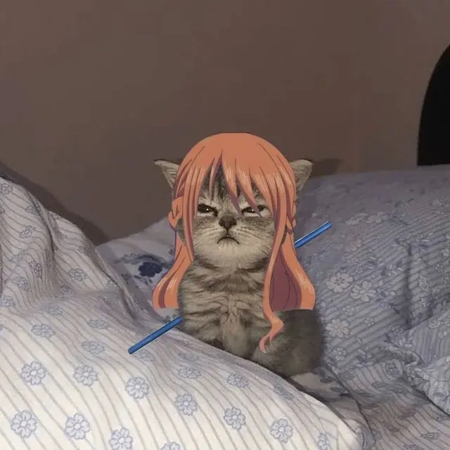 6 Editan Foto Kucing Jadi Kru Mugiwara One Piece Ini Tampak Lucu