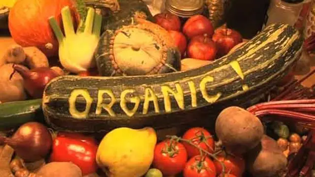 Produk Organik.