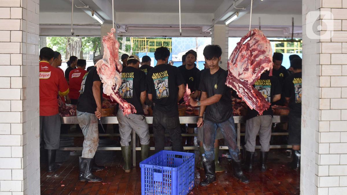 Jarang Diperhatikan, Ini Etika Sederhana saat Membagikan Daging Kurban