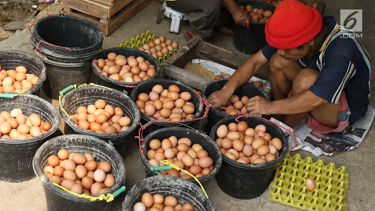 Peternak di Depok Ungkap Penyebab Tingginya Harga Telur Ayam