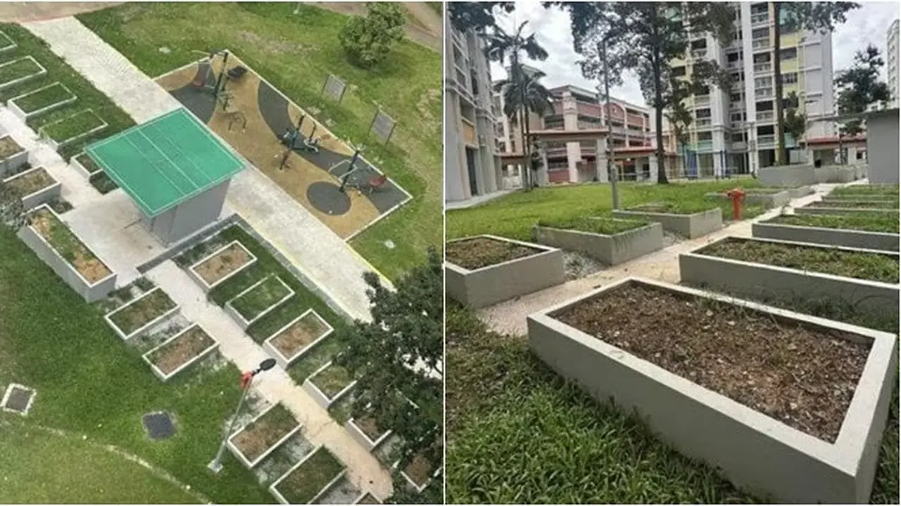 Lahan Kebun Ini Bikin Warga Takut Lewat Malam Hari, Petak-petak Mirip Kuburan