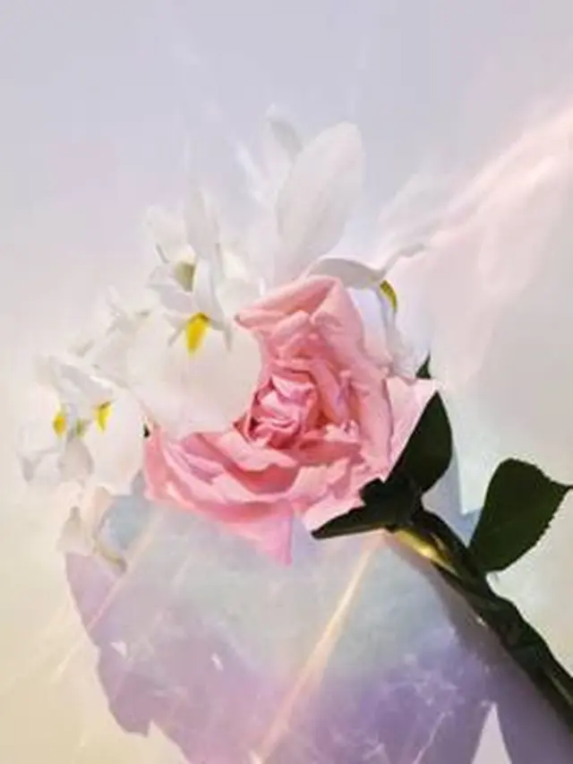 Parfum Louis Vuitton Spell On You