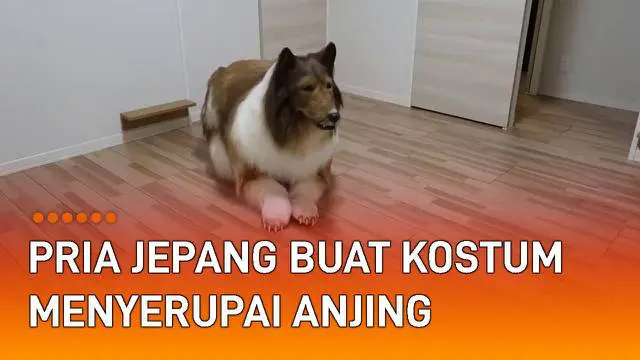 Ada-ada saja yang dilakukan seorang pria ini ketika sangat terobsesi dengan hewan anjing