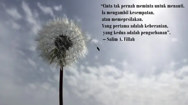 Gambar Kata Mutiara Islam