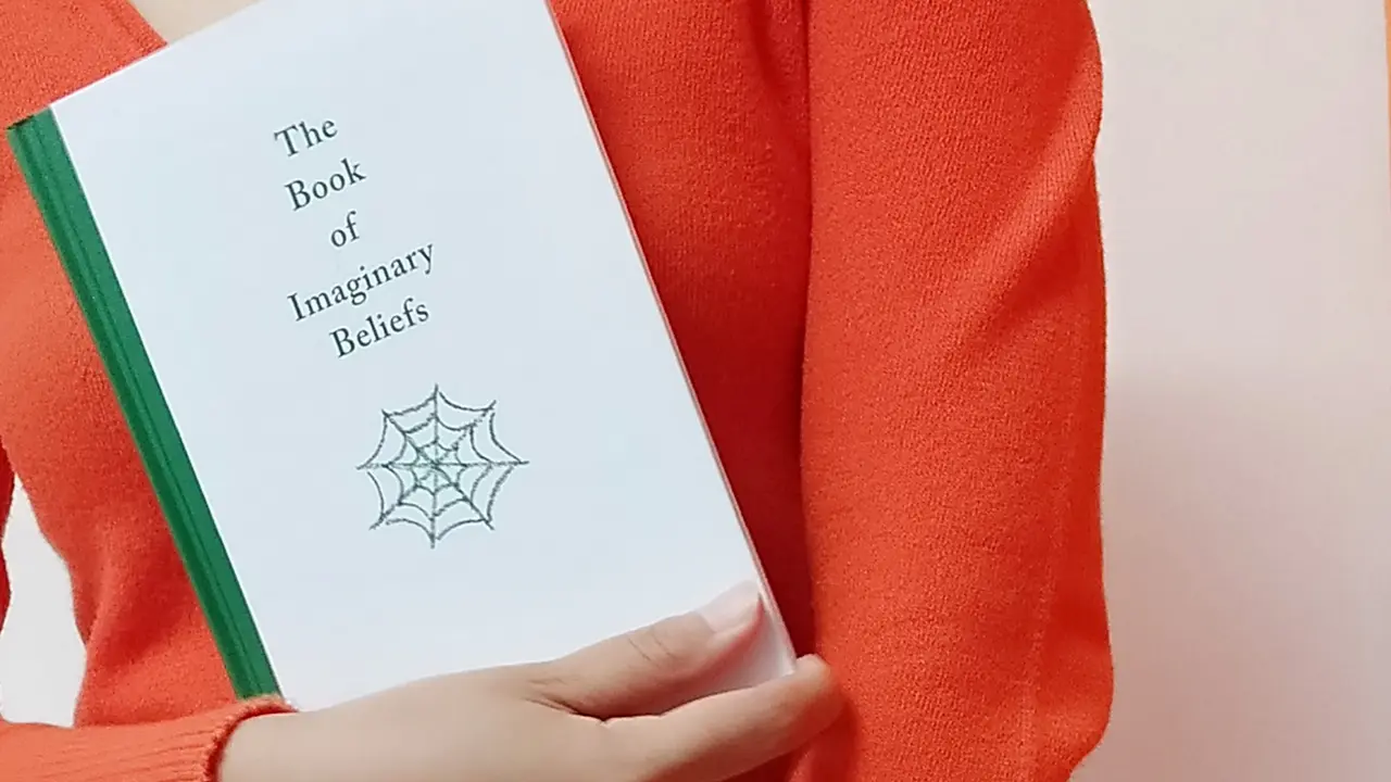 the book of imaginary beliefs