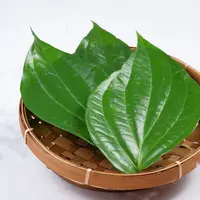 Manfaat daun dirih untuk kesehatan (Credit: Shutterstock/Edgunn)