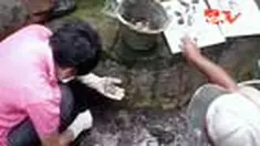 liputan6