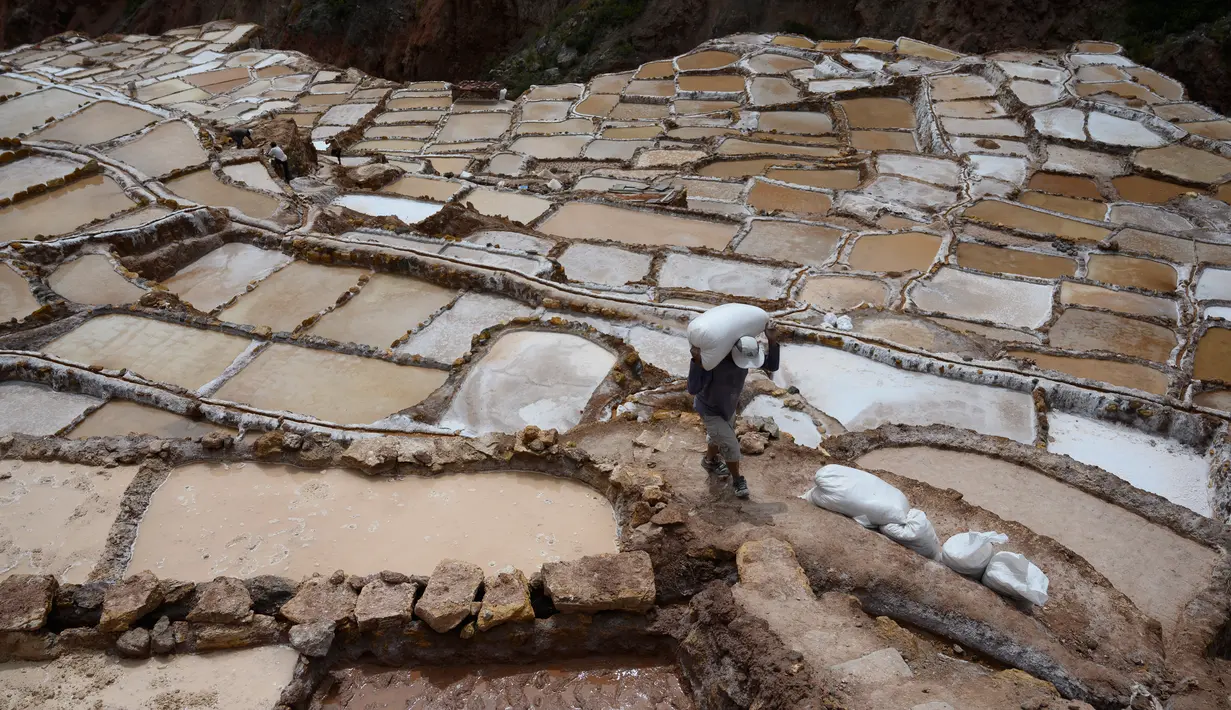 Seorang pekerja membawa sekarung garam di tambak garam Maras, Peru, 29 April 2019. Tak hanya jadi mata pencaharian masyarakat, ladang garam ini juga jadi destinasi fotografer pemburu pemandangan indah. (Pablo PORCIUNCULA BRUNE/AFP)