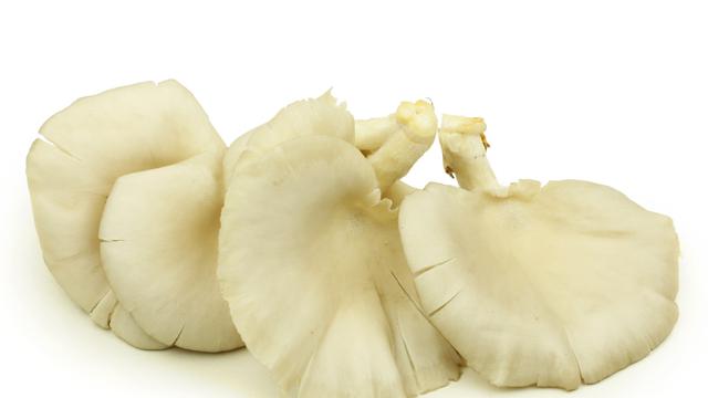 Jamur Tiram (iStock)