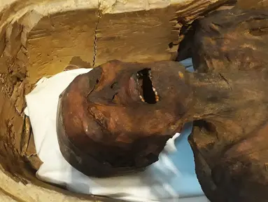 Sosok 'Mumi Menjerit' dipamerkan di Museum Mesir, Kairo, Selasa (14/2). Mumi tersebut juga dikenal sebagai 'Unknown Man E'. (KHALED DESOUKI/AFP)