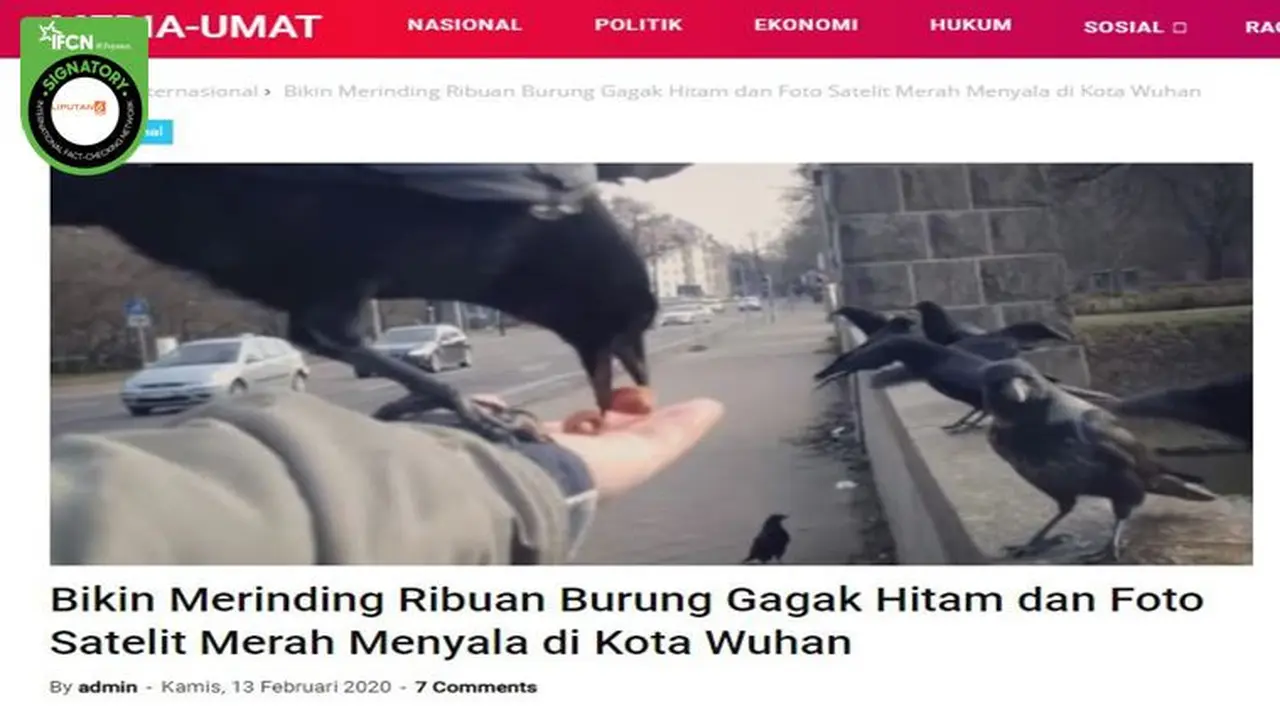 Gambar Tangkapan Layar Berita Tentang Kota Wuhan Dipenuhi Burung Gagak