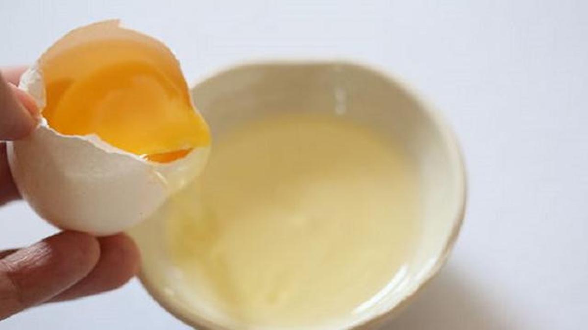 5 Manfaat Konsumsi Putih Telur, Sumber Protein yang Menyehatkan dan Menjaga Berat Badan