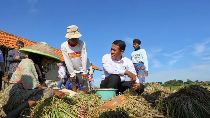 Mentan: Petani Brebes Masih Menikmati Keuntungan Harga Bawang Merah