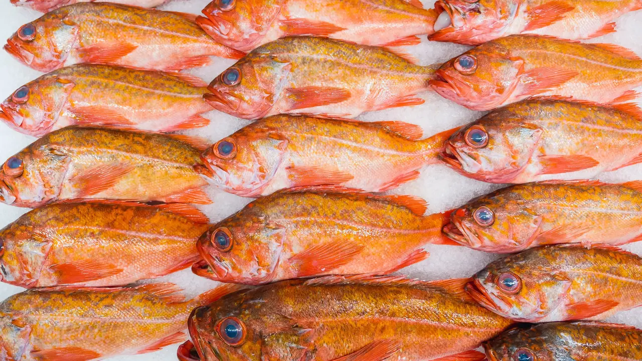 Ilustrasi sumber omega 3 untuk anak disleksia.