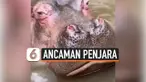 PELEMPAR BOTOL