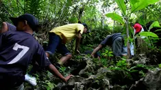 Jalan menuju Goa Bagong penuh tantangan. Dibutuhkan kehati-hatian dalam menyusuri jalan setapak menuju Goa Bagong, Jawa Barat , Sabtu (17/5/2015). (Liputan6.com/Andrian M Tunay)