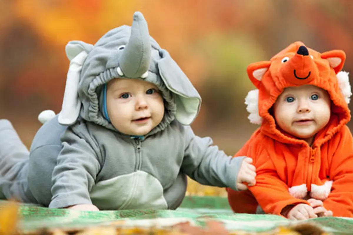 Foto: thinkstockphotos.com