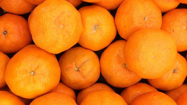 Gambar Ilustrasi Buah Jeruk