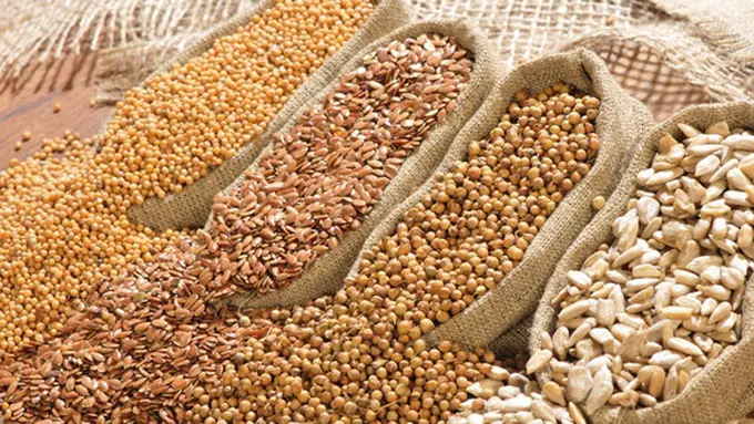 (c) shutterstock.com