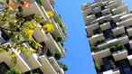 Pohon-pohon ini akan melindungi apartemen ini dari debu, angin dan juga hujan.