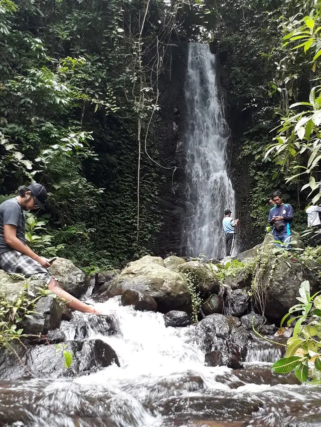 Curug Bandung, sepasang terjun di Limbangan, Wanareja, Cilacap, Jawa Tengah. (Foto: Liputan6.com/Muhamad Ridlo)