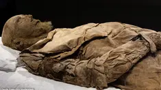 Mumi seorang Uskup dipamerkan pada museum sejarah Universitas Lund di Swedia. Mumi yang diperkirakan dari abad 17 ini masih terlihat utuh dengan rambut dan jenggot diwajahnya. (Dailymail.co.uk) 