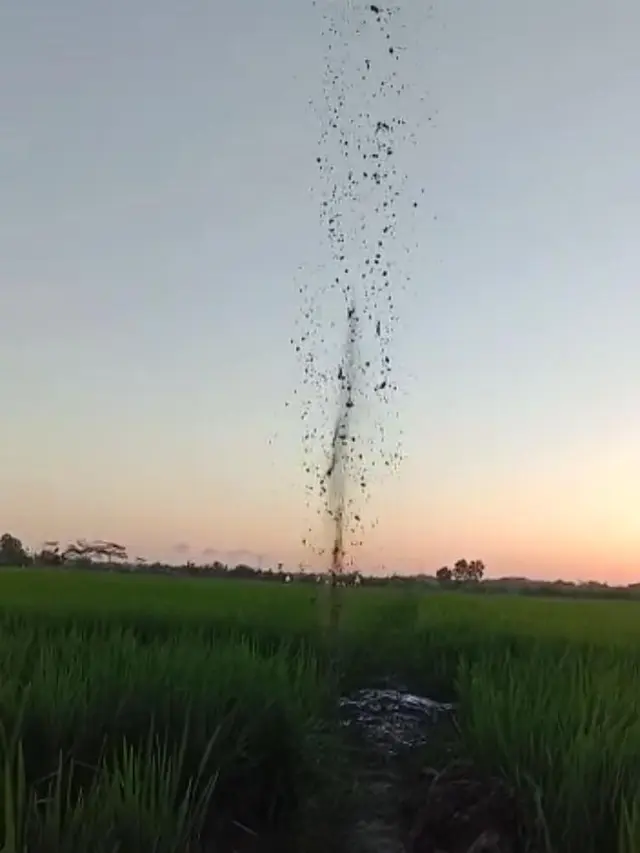 Semburan lumpur dari sumur bor di Desa Sikampuh, Kroya, Cilacap, 13 Juli 2019. (Foto: Liputan6.com/Humas Unsoed/Muhamad Ridlo)