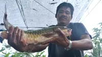 Memburu Ikan Dewa hingga Kaki Gunung Slamet