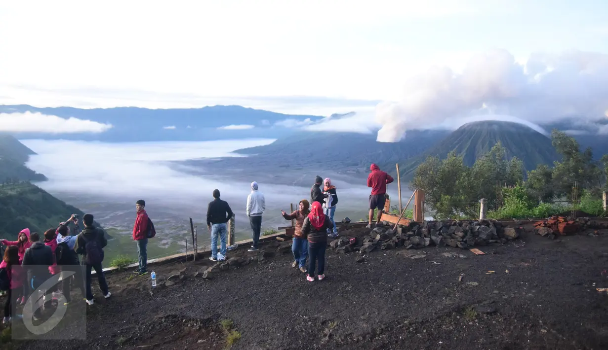 Sejumlah wisatawan menikmati keindahan Gunung Bromo saat menjelang pagi hari di lereng seruni, Kabupaten Probolinggo, Minggu, (3/4 /2016). Terjadinya erupsi lava di gunung Bromo yang masih terjadi menambah eksotik keindahan gunung ini. (Gholib)