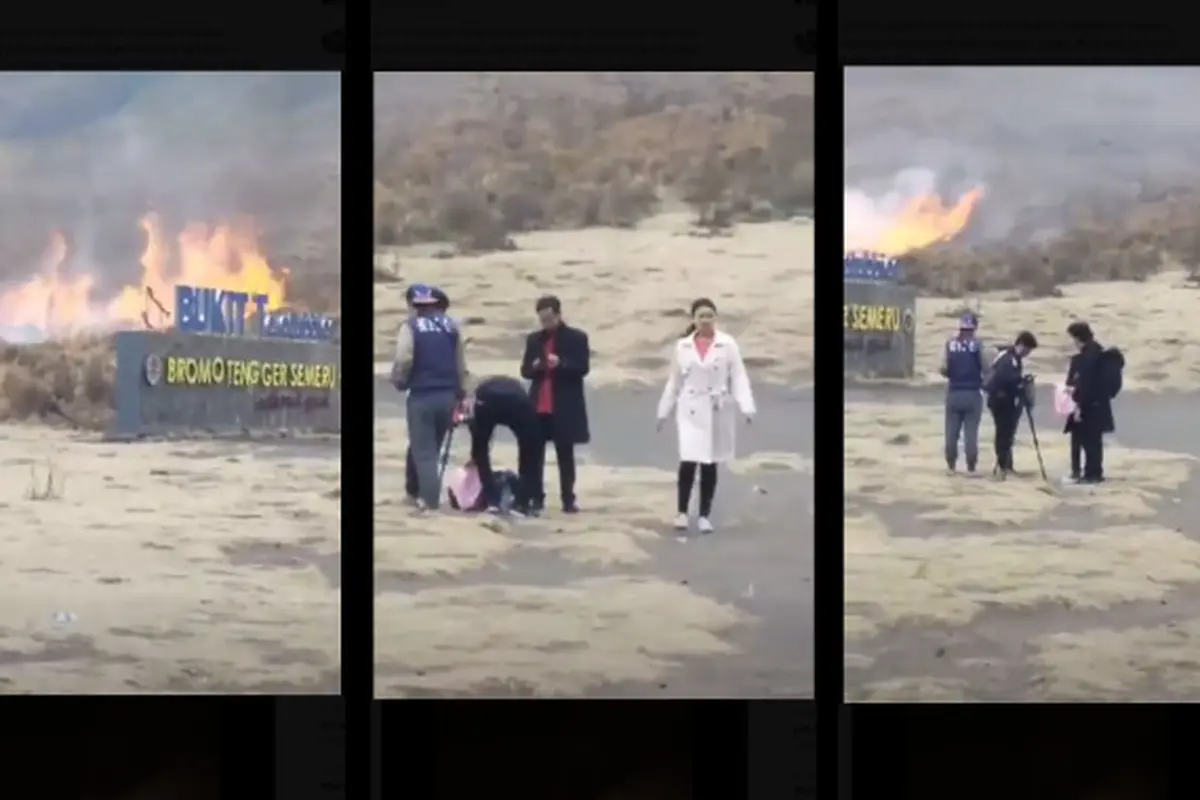Flare Prewedding Diduga Picu Kebakaran di Bukit Teletubies Gunung Bromo