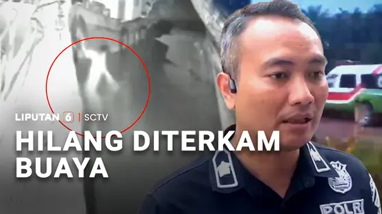 Sedang Perbaiki Perahu, Pekerja Hilang Diterkam Buaya