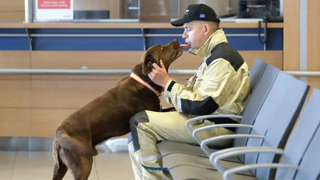 Bantuan Tim Anjing Pelacak Republik Ceko untuk Beirut