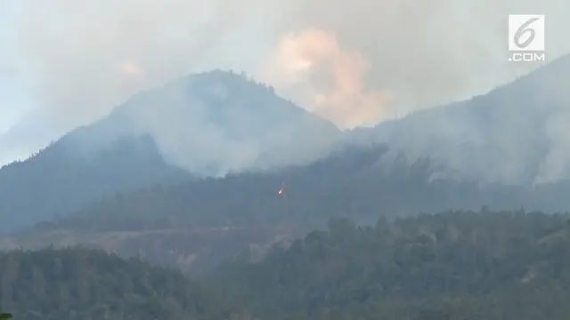 Memasuki hari keempat, kebakaran di lereng Gunung Lawu belum juga bisa dipadamkan. Api terus meluas, menghanguskan lahan yang ditumbuhi pohon pinus.