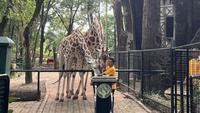 Taman Margasatwa Ragunan Bakal Resmi Buka Malam Hari Mulai Sabtu 11 Oktober 2025
