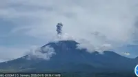 Gunung Semeru Erupsi 7 Kali, Tinggi Letusan Capai 1 Kilometer (Istimewa)