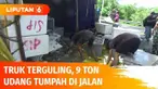 Sebuah truk terguling di Jalan Trans Sulawesi lantaran tak kuat menanjak. Akibatnya muatan 9 ton udang siap ekspor yang diangkut tumpah di jalan. Kerugian ditaksir mencapai ratusan juta rupiah, udang terancam membusuk.