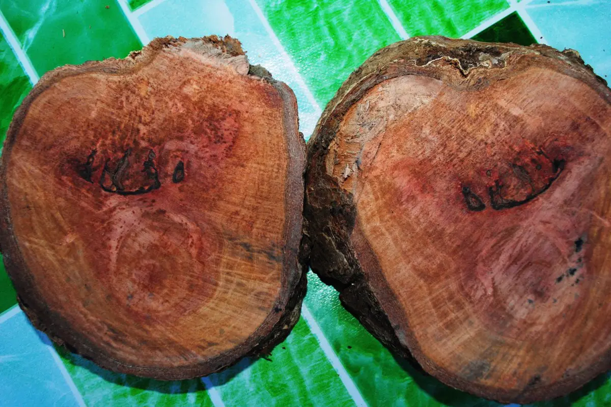 Kayu Berlafaz Allah Gegerkan Warga Sumbawa