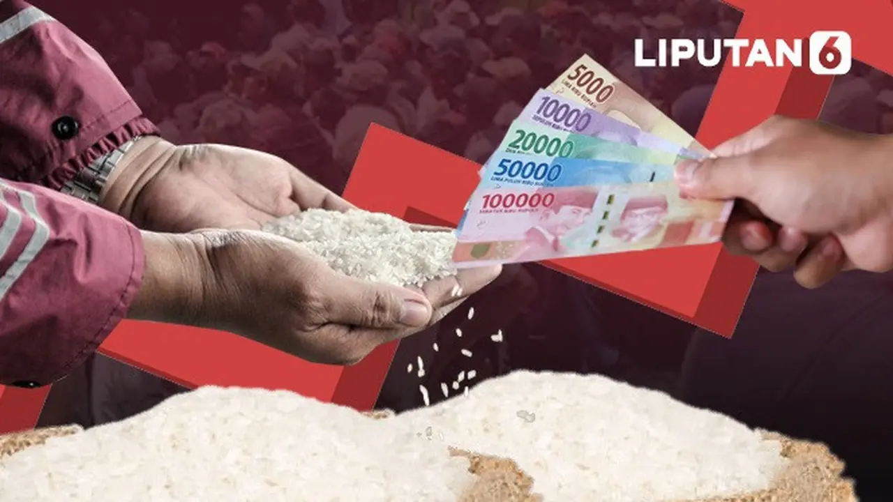 Banner Infografis Harga Beras Naik hingga Beli Beras Dibatasi