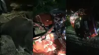 Sebuah minibus dan truk bermuatan sapi alami kecelakaan di Bakauheni, Lampung Selatan. Foto :  (Istimewa).